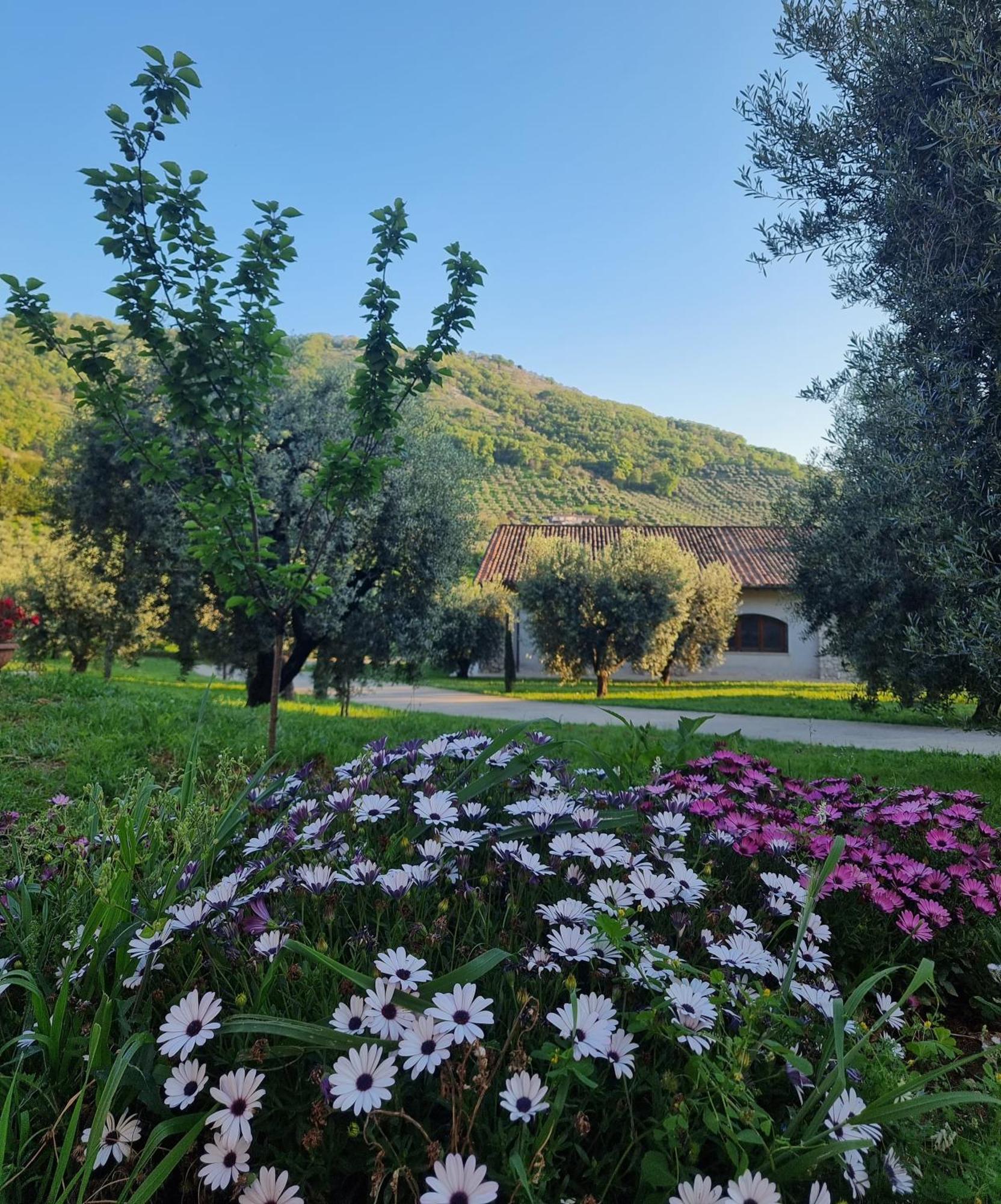 Casale Dei Priori Bed & Breakfast Rocca Massima Exterior photo